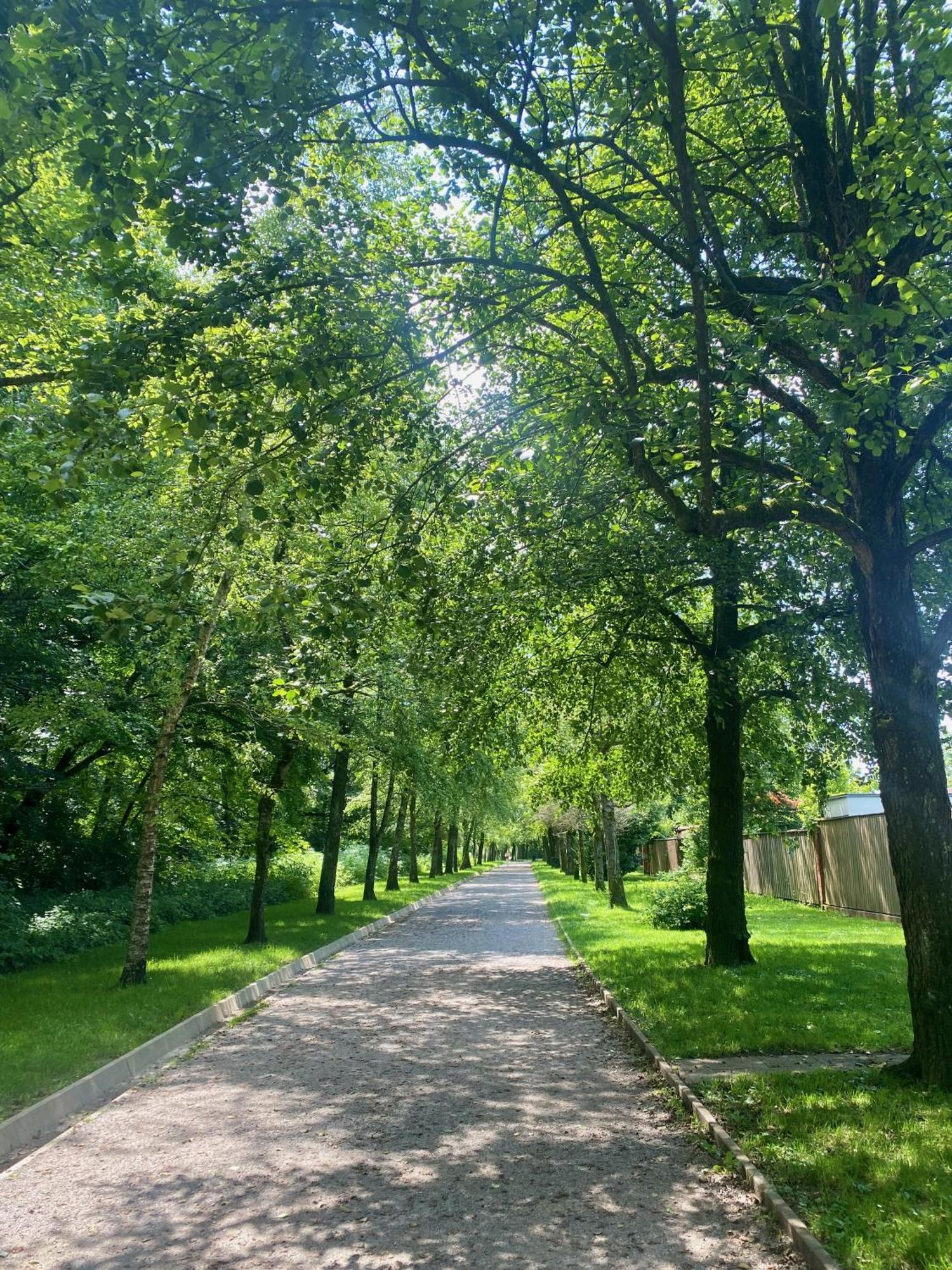 Valetier Apartments Ljubljana Dış mekan fotoğraf